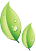 footer green leaf